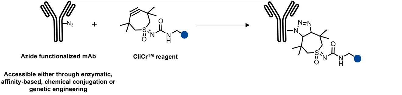 Cristal therapeutics diagram