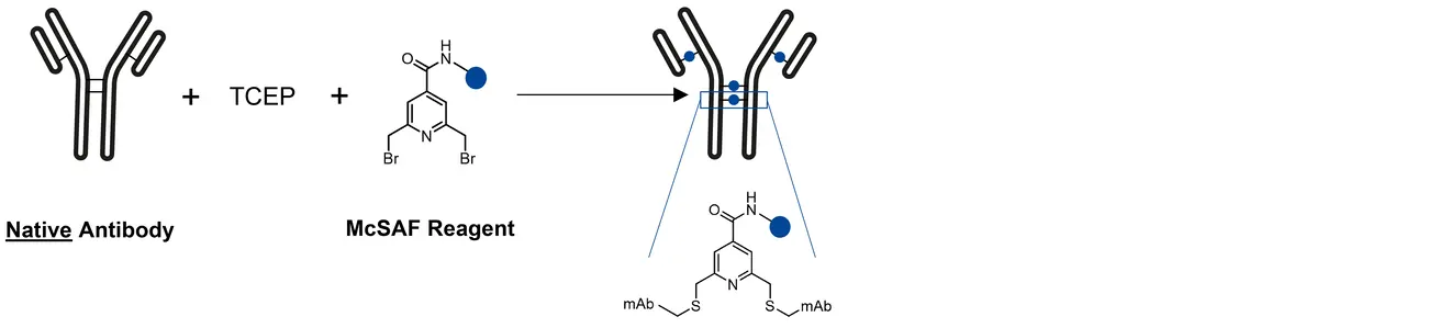 mcsaf diagram