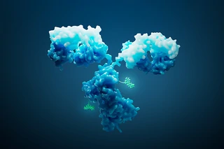 An Integrated End-to-End Approach to Antibody Drug Conjugate Development and Manufacturing